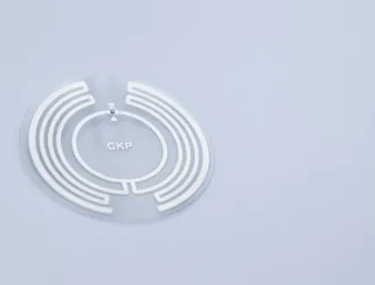 Checkpoint RFID Inlay Pali